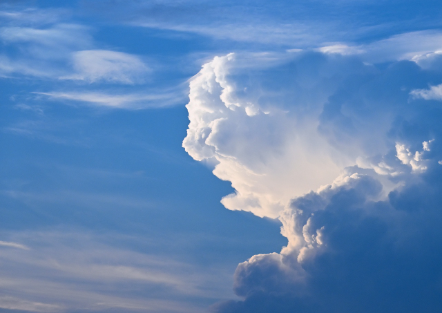 夏雲　　　　　　千葉県浦安市